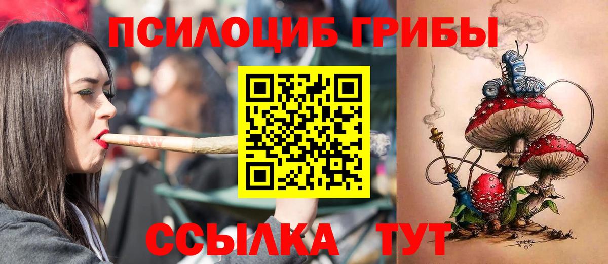 Галлюциногенные грибы Psilocybine cubensis  Псилоцибиновые грибы Psilocybine cubensis  Вход с VPN  как найти наркотики  Абинск 